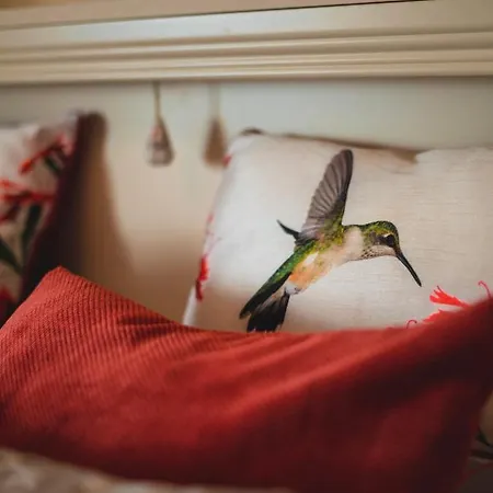 The Village Bed and breakfast *